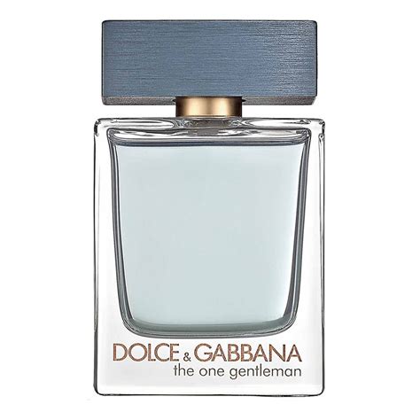 dolce & gabbana the one gentleman|d&g website.